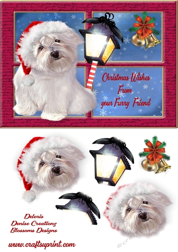 Merry Christmas from your furry friend