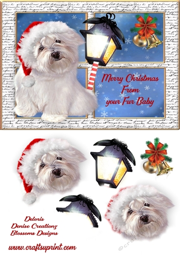 Merry Christmas from your furry friend