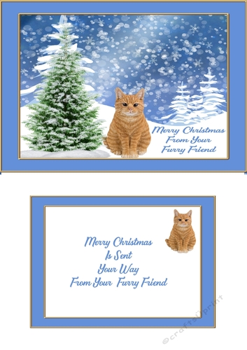 Merry Christmas from your furry friend