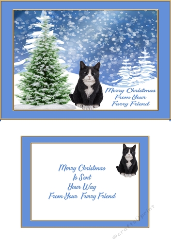 christmas cats