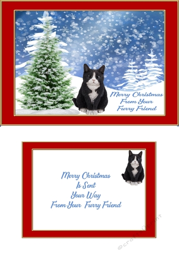 christmas cats