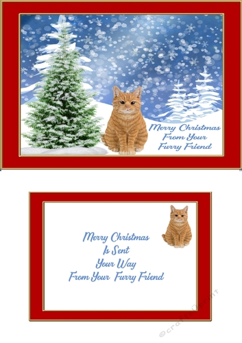 christmas cats