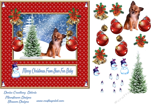 Merry Christmas from your fur Baby