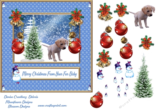 Merry Christmas from your fur Baby