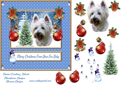 Merry Christmas from your fur Baby