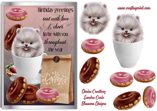 Donut and teacup dog birthday 
