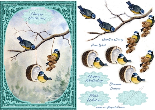 Blue tit birthday card 