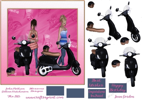 Biker Girls