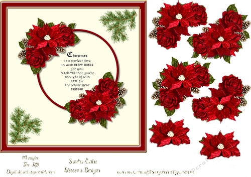 Poinsettia vintage 