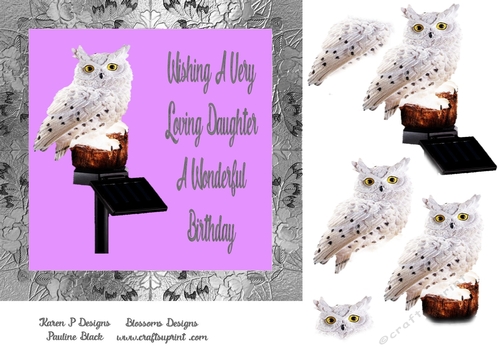 Owl Birthday daughter