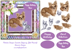 A lovely Chihuahua birthday design