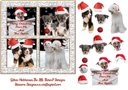 Dog merry Christmas