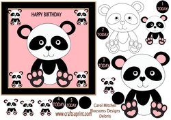 Panda Birthay approx 7x7inch