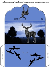 Male money wallet