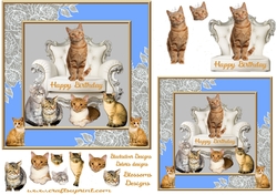 Ginger cats Birthday 1