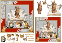 Ginger cats Birthday 2