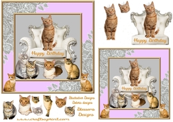 Ginger cats Birthday 3