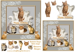 Ginger cats Birthday 4
