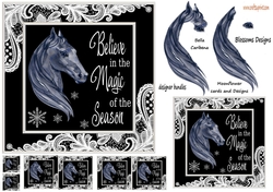Horse lovers Christmas 2