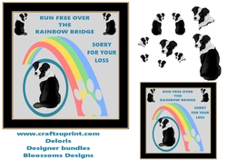 Pet loss over the rainbow bridge