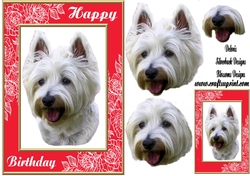 Happy Birthday dog