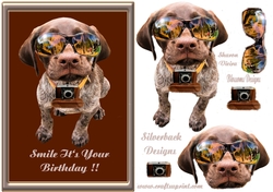 Happy Birthday dog