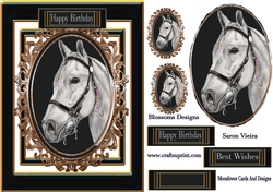 Birthday Horse