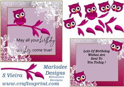 Owl Birthday 1