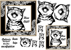 Cat birthday Design
