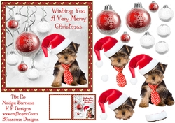 Pet Christmas yorkie