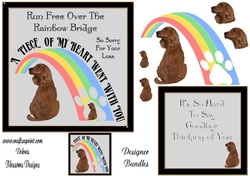 rainbow bridge Cocker Spaniel 