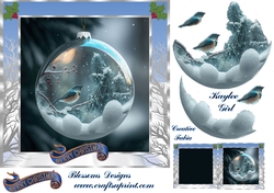 Blue Robin