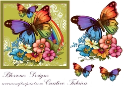 rainbow butterfly 4
