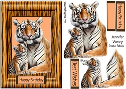 Animal Magic Tigers 
