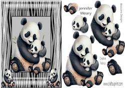 Animal Magic panda