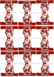 9 Santa tags