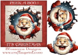peek a boo Christmas 6