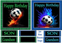 Football fan 2
