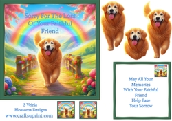 Pet loss dog 