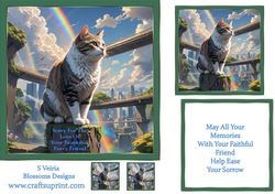 Pet loss cat 