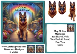 pet dog sympathy 3