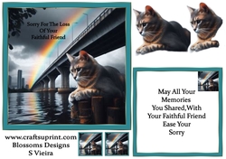 pet cat sympathy 4