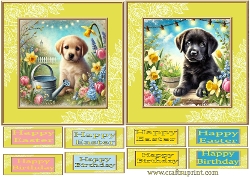 Image of cup1054163_2606 - Birthday or Easter 1