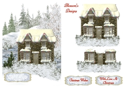 Winter house