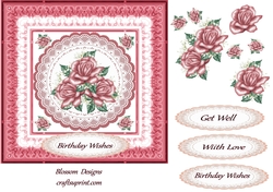 Pink rose birthday or get well