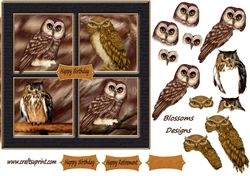 Owl Birthday or Retirement