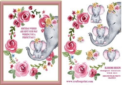 Cute elephants