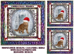 Christmas cat 1