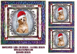Christmas dog 1