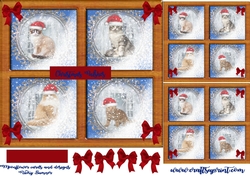 A cute Christmas cat card